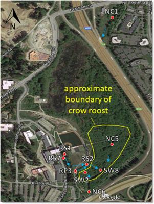 Antibiotic Resistance of E. coli Isolated From a Constructed Wetland Dominated by a Crow Roost, With Emphasis on ESBL and AmpC Containing E. coli